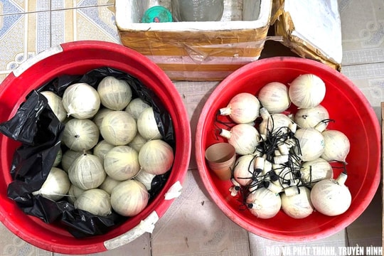Những hành vi bị nghiêm cấm trong quản lý và sử dụng pháo