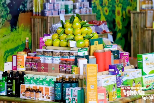 Động lực phát triển dược liệu gắn với sản phẩm OCOP ở Nghệ An
