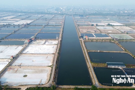 Thiếu kinh phí vận hành hệ thống cấp nước biển, vùng nuôi tôm Quỳnh Anh gặp khó