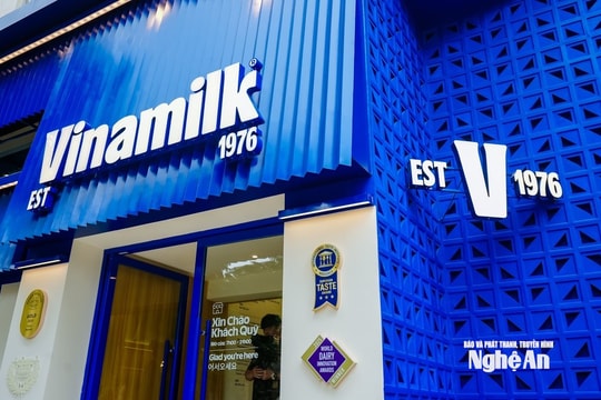 Vinamilk báo cáo doanh thu quý 1/2026 tăng 24,6% so với cùng kỳ