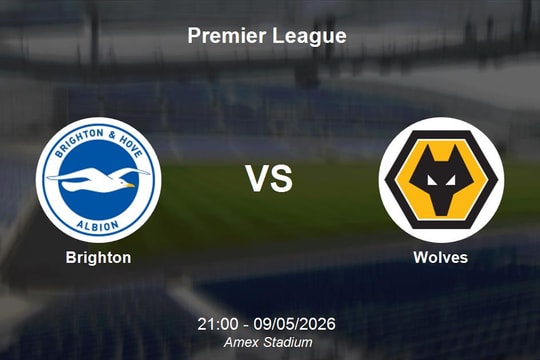 Nhận định Brighton vs Wolves - Premier League: Cơ hội cho Chim mòng biển bứt phá