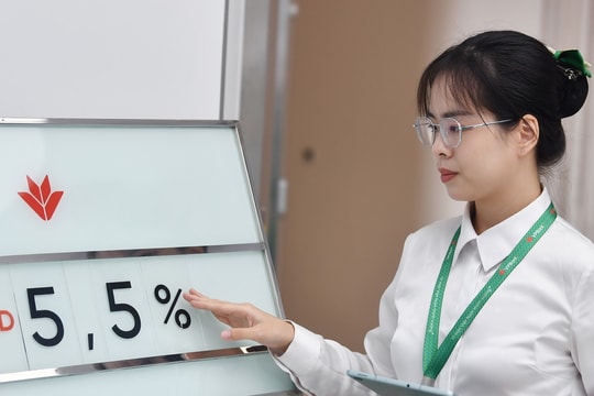 Lãi suất VPBank ngày 11/5/2026: Các kỳ hạn dài đồng loạt xuống dưới 6% mỗi năm