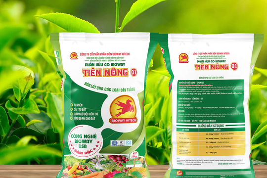 Giá phân bón hôm nay 11/5/2026: Giá phân Lâm Thao, phân Ure, phân NPK, phân Kali toàn quốc