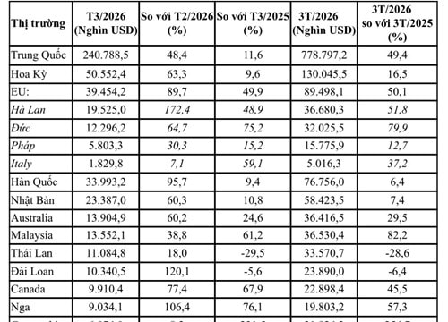 Xuất khẩu rau quả đạt 1,527 tỷ USD trong quý I/2026, tăng trưởng mạnh 31,4%