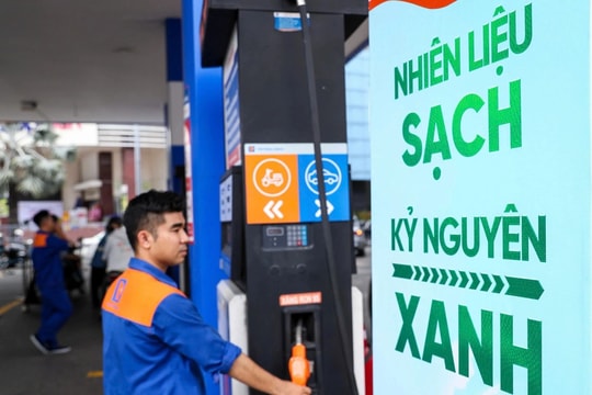 Giá xăng dầu hôm nay 14/5: Bảng giá xăng dầu Petrolimex, PVOIL, Mipec, Thalexim