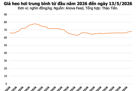 Giá heo hơi hôm nay 13/5: Sơn La và Thanh Hóa tăng nhẹ, cao nhất 71.000 đồng/kg