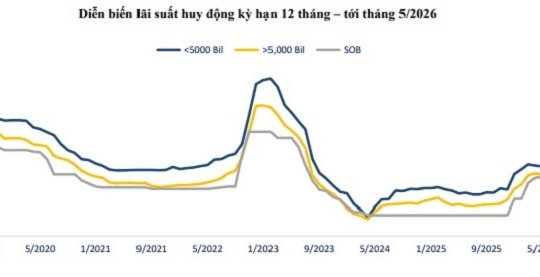 Lãi suất ngân hàng hôm nay 13/5/2026: Sacombank tăng mạnh lên mức 8%/năm