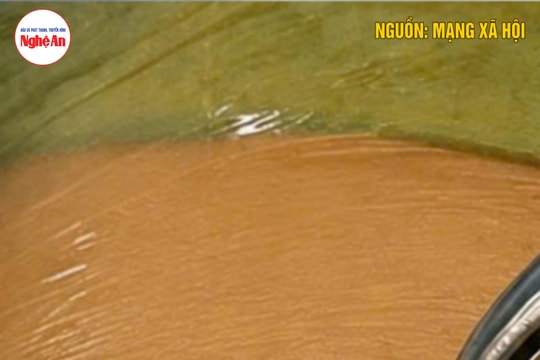 Nam thanh niên suýt mất mạng vì 1 phút chủ quan khi dùng máy bắn đinh cầm tay