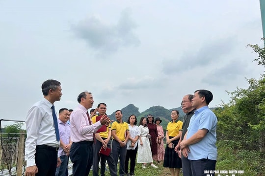 Liên kết '4 nhà', gỡ nút thắt vùng dược liệu