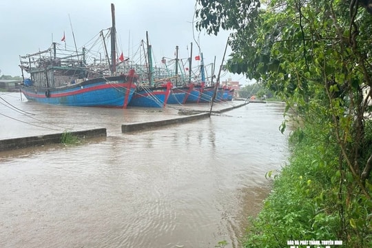 Khẩn trương gia cố công trình đê kè biển, trước mùa mưa bão