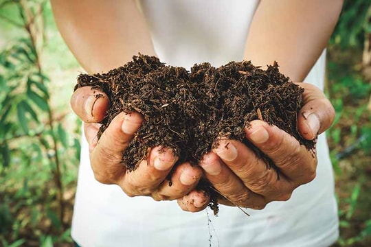 Giá phân bón hôm nay 15/5 duy trì ở mức cao