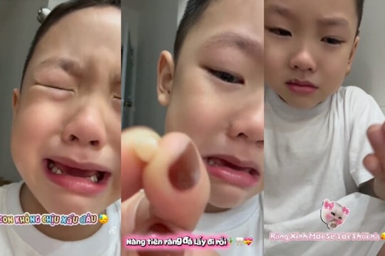 Phản ứng của con trai ca sĩ Phan Đinh Tùng khi gặp cú sốc đầu đời