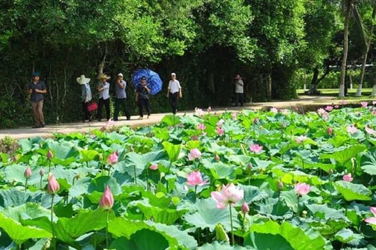 Thời tiết Nghệ An ngày 19/5: Ngày trời nắng, chiều và đêm có mưa rào và dông