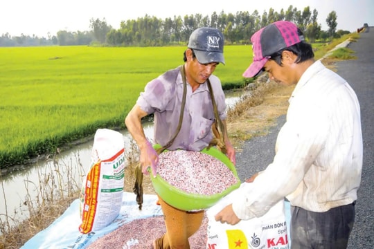 Giá phân bón hôm nay 18/5/2026: Doanh nghiệp Q1/2026 lãi vọt 91% lên 789 tỷ, hoàn thành 67% kế hoạch năm