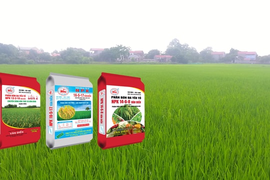 Giá phân bón hôm nay 19/5/2026: DAP Nga 1.245.000 đồng/bao