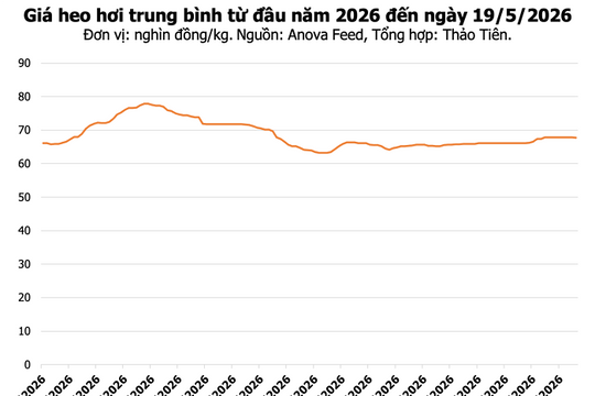 Giá heo hơi hôm nay 19/5: Miền Nam giảm nhẹ, cao nhất đạt 70.000 đồng/kg