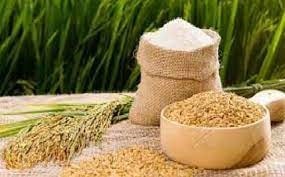 Giá lúa gạo hôm nay 19/5: Gạo nguyên liệu nhích tăng, thị trường giao dịch chậm