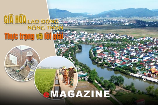 Già hóa lao động nông thôn - Kỳ 1: Thực trạng báo động