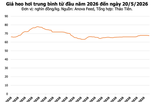 Giá heo hơi hôm nay 20/5: Đồng Nai đạt 70.000 đồng/kg, Hà Nội và TP.HCM giảm nhẹ