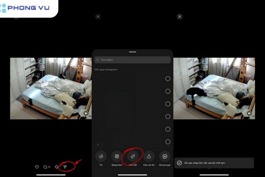 Cách tải video Threads về điện thoại iPhone, Android và máy tính cực nhanh