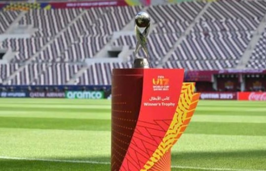 FIFA xác nhận nhóm hạt giống của U17 Việt Nam tại World Cup sau khi sửa lỗi kỹ thuật