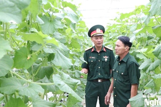Góp gần 3 tỷ đồng vốn quay vòng, cựu chiến binh xã Đông Lộc giúp nhau làm giàu