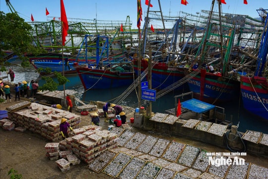 Ngư dân Nghệ An chủ động đổi phương thức đánh bắt, vươn khơi vụ cá chính