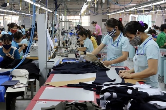 Đề xuất chính sách hỗ trợ doanh nghiệp nhỏ và vừa chuyển đổi từ hộ kinh doanh