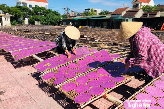 Sức sống làng nghề bánh đa vừng xứ Lường