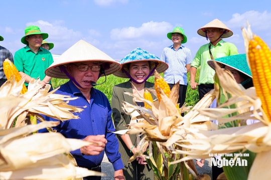 Phó Bí thư Tỉnh ủy Võ Thị Minh Sinh tham quan mô hình nông nghiệp công nghệ cao tại Tập đoàn ThaiBinh Seed