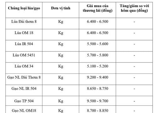 Giá lúa gạo ngày 3/6/2026: Thị trường nội địa ổn định, gạo xuất khẩu giảm mạnh