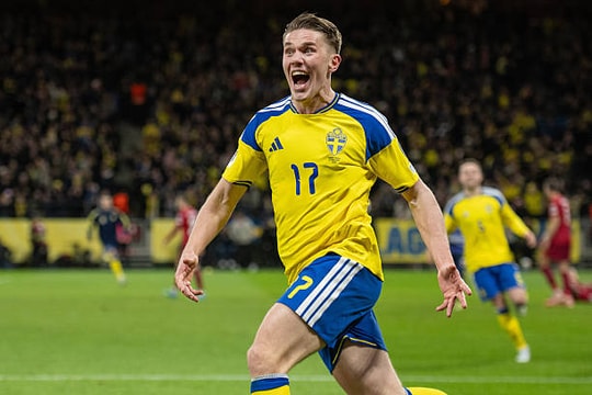 5 ngôi sao định đoạt cục diện bảng F World Cup 2026: Cody Gakpo và những hạt nhân chiến thuật