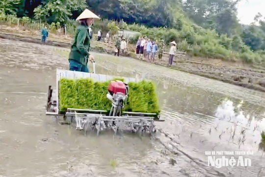 Đưa máy cấy lên bản biên giới Nghệ An
