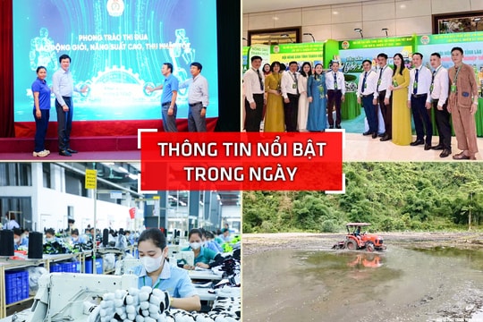 Nghệ An: Thông tin nổi bật ngày 7/6