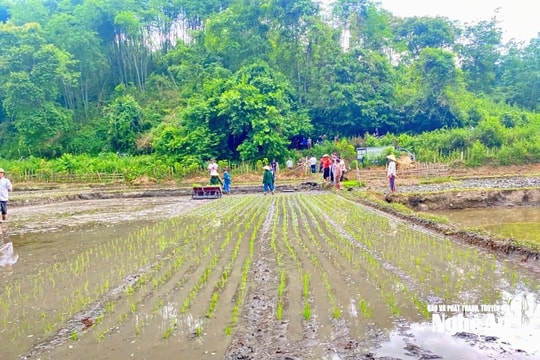 Thời tiết Nghệ An ngày 11/6: Ngày trời nắng, chiều và đêm có mưa rào rải rác