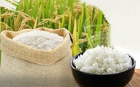 Giá lúa gạo ngày 10/6: Gạo xuất khẩu giảm 6 USD/tấn, thị trường nội địa đi ngang