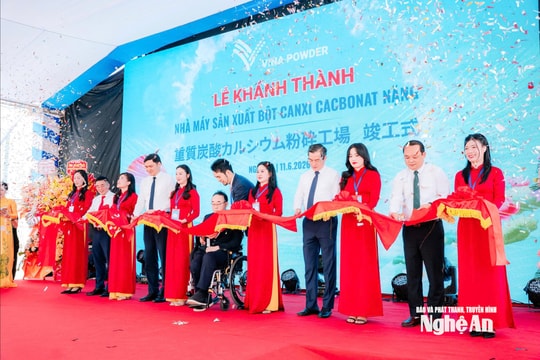 Phó Bí thư Thường trực Tỉnh ủy Hoàng Nghĩa Hiếu dự Lễ khánh thành nhà máy sản xuất bột canxi cacbonat nặng Yabashi Việt Nam