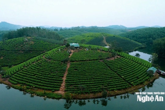 Thời tiết Nghệ An ngày 12/6: Ngày trời nắng, chiều và đêm có mưa rào vài nơi