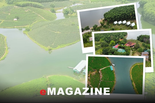 Hết thời dự án “khoanh nuôi đất”