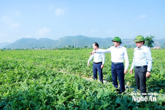 Trực tiếp: Hội nghị Chủ tịch UBND tỉnh Nghệ An gặp mặt, đối thoại với nông dân năm 2026
