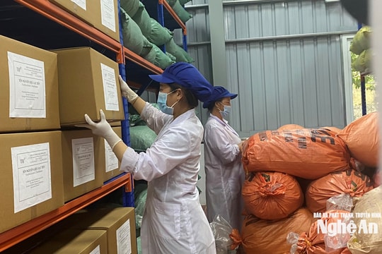 Nghị định EPR có hiệu lực: Doanh nghiệp Nghệ An vào cuộc như thế nào?