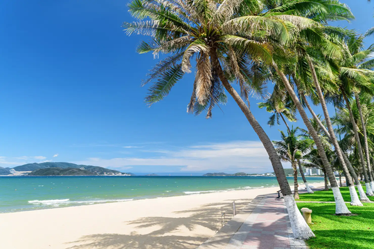 Trải nghiệm du lịch hè với hai thành phố biển Đà Nẵng và Nha Trang