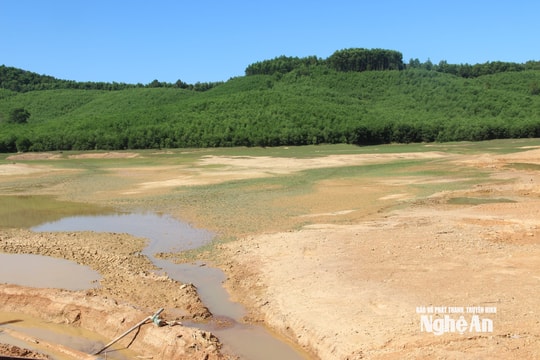 Nguy cơ hạn hán gia tăng khi El Nino rất mạnh xuất hiện
