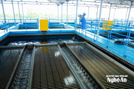 Nghệ An ban hành Quy định mới về quản lý sản xuất, cung cấp và tiêu thụ nước sạch