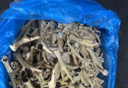 Công an TP.Hà Nội khởi tố vụ buôn lậu hơn 10.000 tấn chân gà đông lạnh không đảm bảo vệ sinh