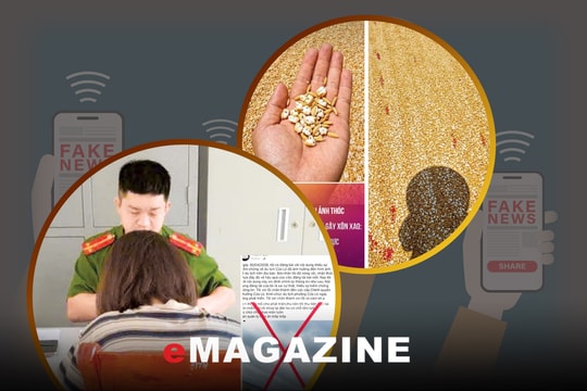 Lọc sự thật