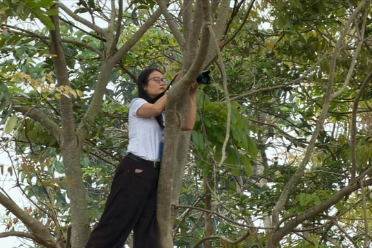 Những "nhà báo không thẻ"