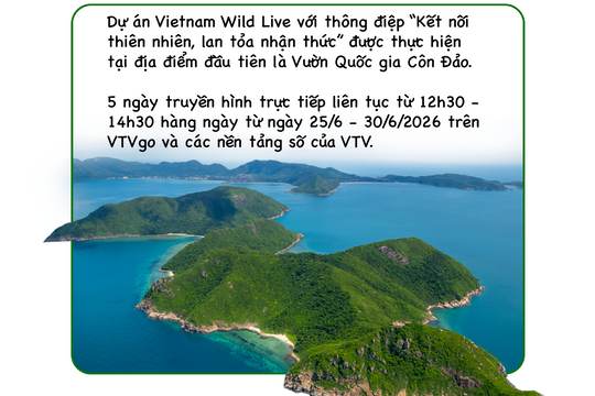 Vietnam Wild Live: Cuộc cách mạng truyền hình trực tiếp thiên nhiên tại Côn Đảo
