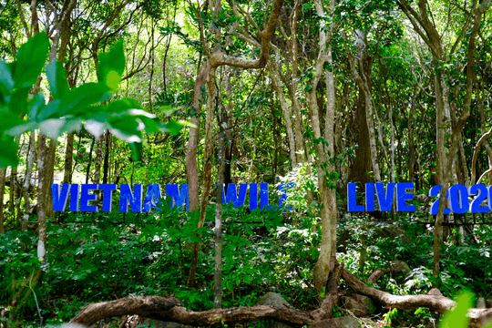 Vietnam Wild Live by VTV: Khám phá hệ sinh thái đa dạng tại Vườn Quốc gia Côn Đảo
