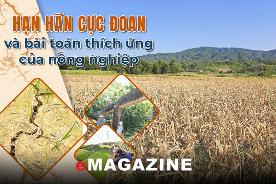 Kỳ 1: Khi hạn hán không còn theo quy luật